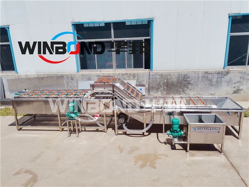 华邦瓜果蔬菜自动清洗机,蔬菜气泡清洗机,果蔬清洗机械,多功能气泡式清洗机,番茄全自动清洗机,辣椒清洗机,蘑菇清洗机,土豆清洗机厂家,净菜加工设备 食品机械设备网